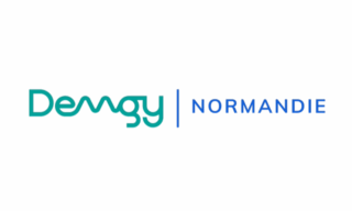 DEMGY – Lauréat Cat. +250 à 1000 collaborateurs